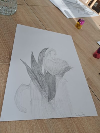 Okładka albumu: Zajęcia plastyczne - rysunek z natury